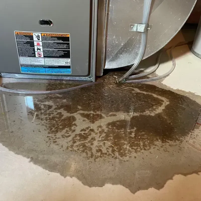 Appliance Leak Cleanup in Torrance, CA